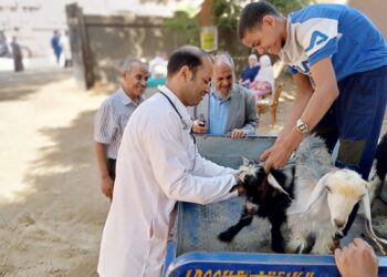 الزراعة