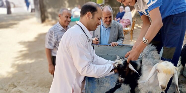 "الزراعة": 188 قافلة بيطرية مجانية حتى نهاية أبريل لعلاج أكثر من 122 ألف رأس ماشية 1 الزراعة