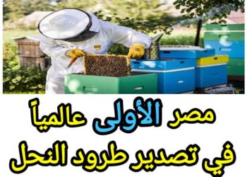 أرقام في الزراعة