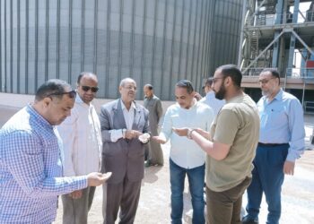 حصاد وتوريد القمح