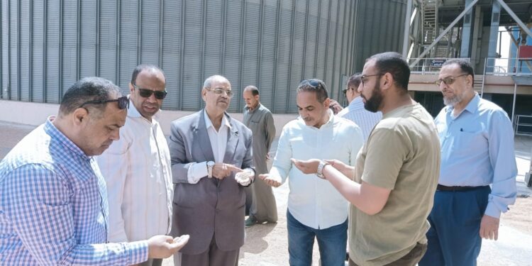 حصاد وتوريد القمح ومنظومة الأسمدة.. "الزراعة" تواصل متابعة كافة الملفات بالصعيد 1 حصاد وتوريد القمح