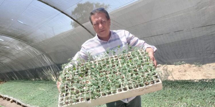 زراعات البساتين والصوب