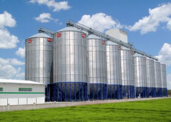 آفات الحبوب