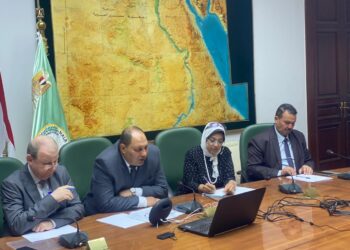 الذرة الشامية