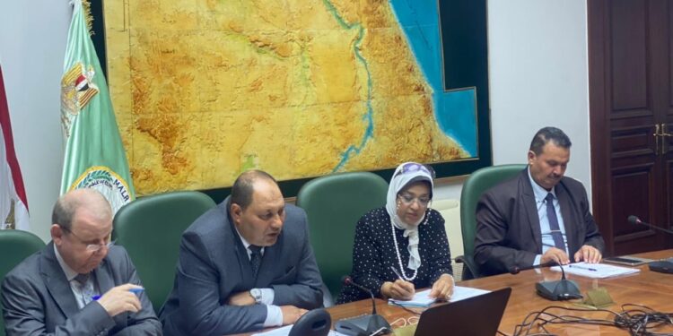الذرة الشامية .. الزراعة تعلن تنفيذ الزراعة التعاقدية بالمحصول بسعر ضمان 6000 جنيه للطن 1 الذرة الشامية
