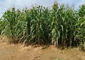 ارتفاع درجات الحرارة