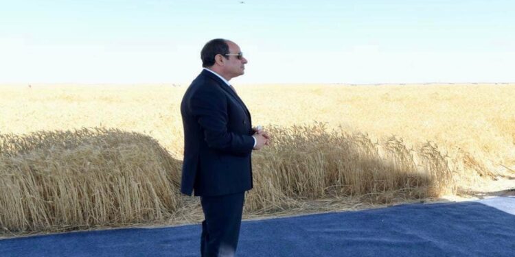 الاكتفاء الذاتي.. 31% زيادة في حجم المُخصصات الموجهه للنشاط الزراعي 1 السيسي