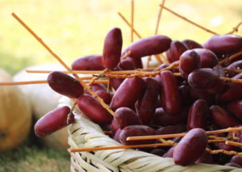 البصمة المائية للبلح