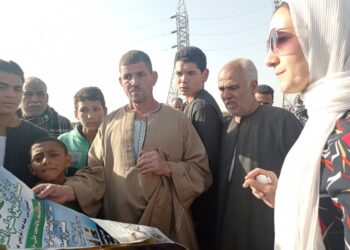 التأمين على الماشية