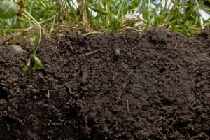 التربة الزراعية الطينية