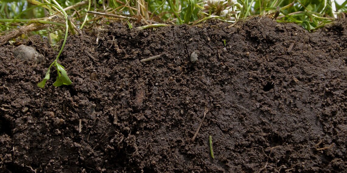 التُربة الزراعية الطينية.. مميزاتها ومعاملاتها الصحيحة وأبرز الأخطاء الشائعة 1 التُربة الزراعية