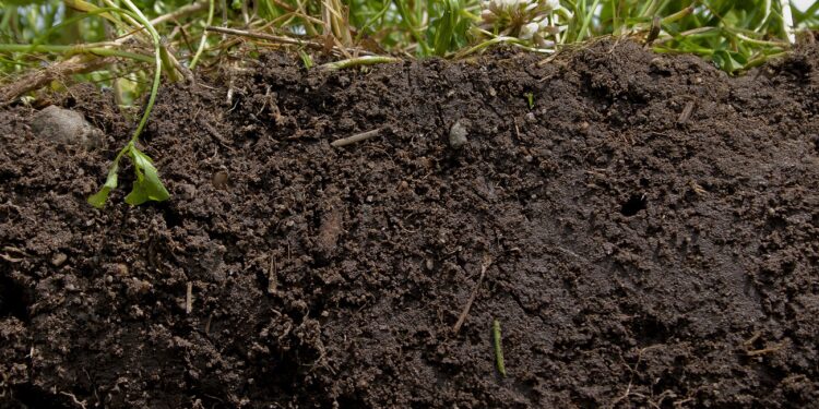 التُربة الزراعية