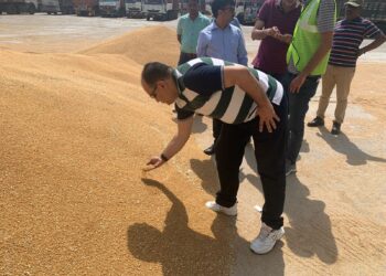 الحجر الزراعي