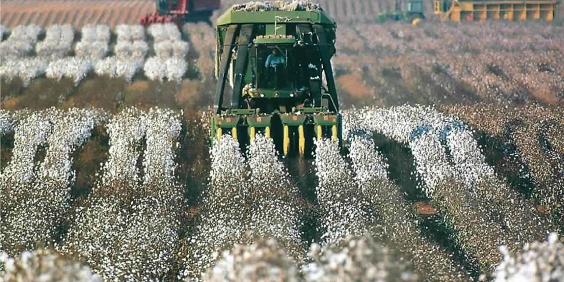 الزراعات المتأخرة