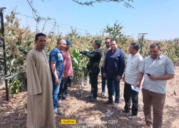 أمراض النباتات