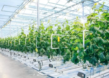 الزراعة الذكية