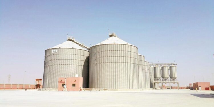 الصوامع المعدنية.. أهدافها وفوائدها الاقتصادية وإجمالي القدرة الاستيعابية المتاحة 1 الصوامع المعدنية