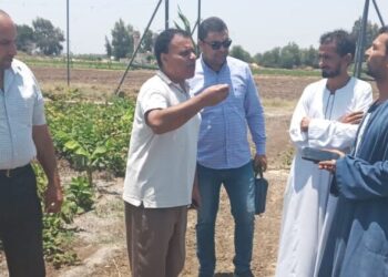 محصول الموز