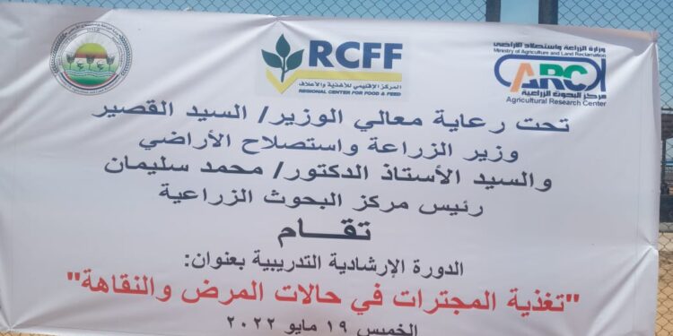 "تغذية المجترات في حالات المرض والنقاهة " دورة تدريبية بالإقليمي للأغذية والأعلاف 1 المجترات