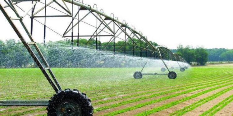 الهندسة الزراعية.. فوائد "الأرض المستحرثة" وأبرز التوصيات لسد فجوة القمح 1 الهندسة الزراعية