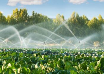 تقنيات الري الحديث