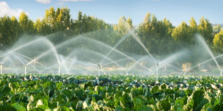 تقنيات الري الحديث وارتفاع مستوى سطح البحر وعلاقتها بالإنتاجية الزراعية 1 تقنيات الري الحديث