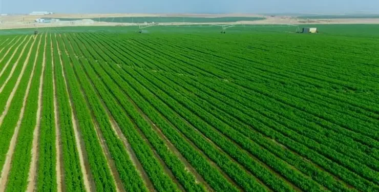 مستقبل مصر.. أهمية المشروع والمساحة الكلية المستهدف استصلاحها 1 مستقبل مصر