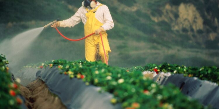 آفات الخضر .. دراسة تكشف نظام قياسي مصري لتقنيات رش المبيدات الزراعية لمكافحتها 1 آفات الخضر