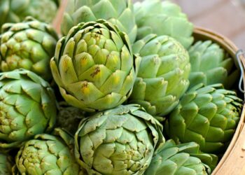 محصول الخرشوف