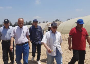 الزراعة المحمية