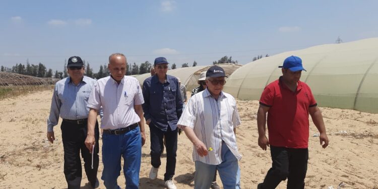 رئيس مركز البحوث الزراعية يتفقد موقع الزراعة المحمية بالبستان 1 الزراعة المحمية