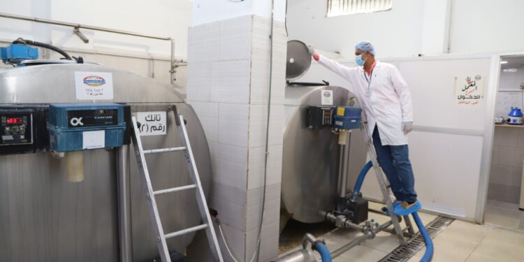 مراكز تجميع الألبان.. الزراعة تنفذ 477 ندوة إرشادية بمحافظات الجمهورية   1 مراكز تجميع الألبان