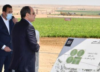 مشروع مستقبل مصر