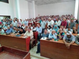 توريد القمح 