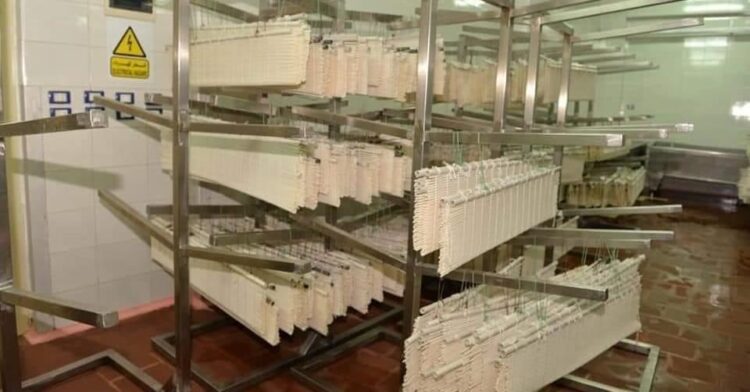 طريقة صناعة الجبن في المنزل.. إليك أبرز أنواعه