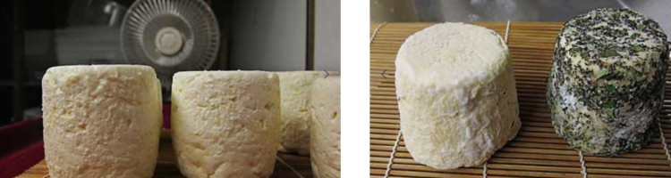 طريقة صناعة الجبن في المنزل.. إليك أبرز أنواعه