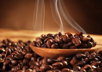 جهاز المناعة