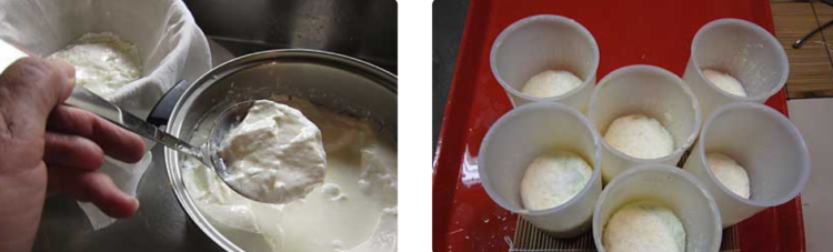 طريقة صناعة الجبن في المنزل.. إليك أبرز أنواعه