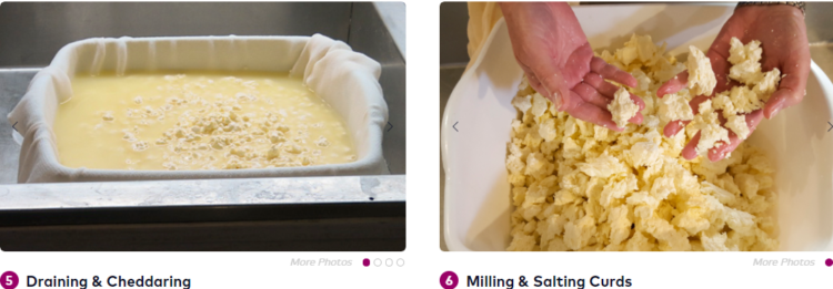 طريقة صناعة الجبن في المنزل.. إليك أبرز أنواعه