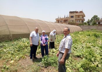 معهد أمراض النباتات