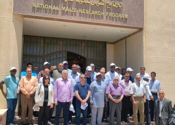 محطة بحوث سخا