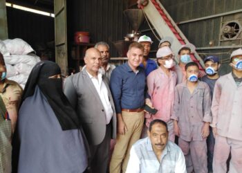 الأرز والقطن والذرة