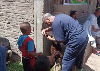 قافلة معهد التناسليات تعالج وتفحص 3500 رأس ماشية بقرى قنا