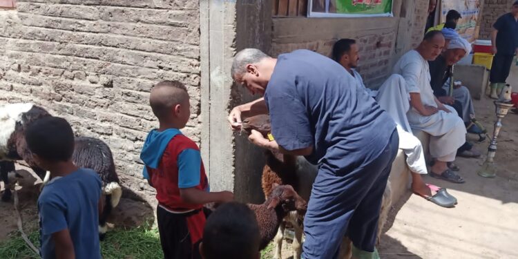 قافلة معهد التناسليات تعالج وتفحص 3500 رأس ماشية بقرى قنا 1 قافلة معهد التناسليات تعالج وتفحص 3500 رأس ماشية بقرى قنا