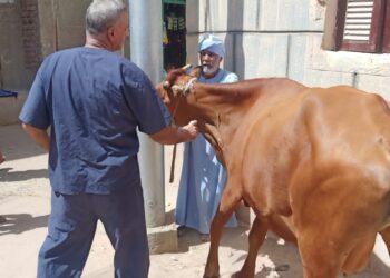 معهد التناسليات ينظم قافلة مجانية بقرى الأقصر