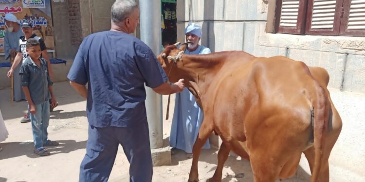 معهد التناسليات ينظم قافلة مجانية بقرى الأقصر