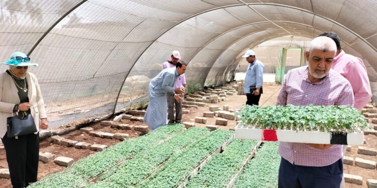 لجنة للمرور على بعض الزراعات البستانية بالشرقية 1 البساتين