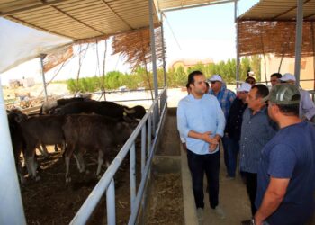 الريف المصري