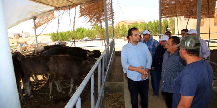 الريف المصري