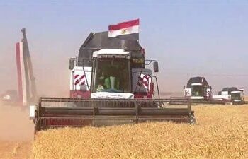 القطاع الزراعي